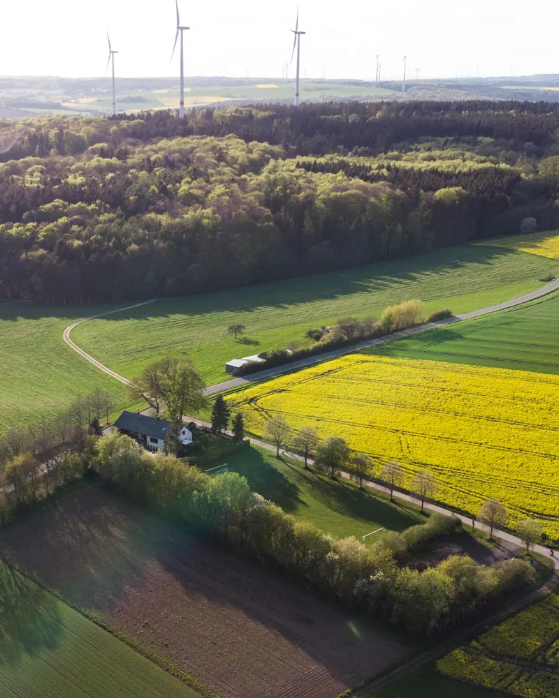 Luftaufnahme von Haus und angrenzender Wiese