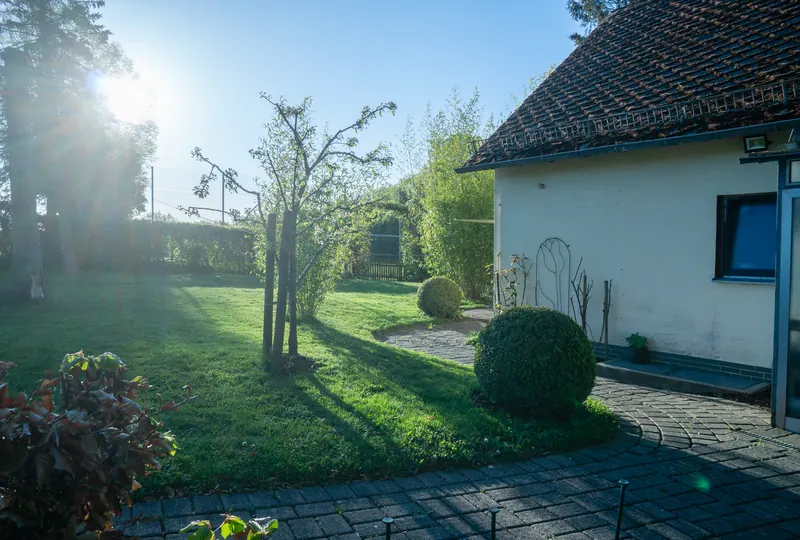 Garten an der Ostseite im Morgenlicht