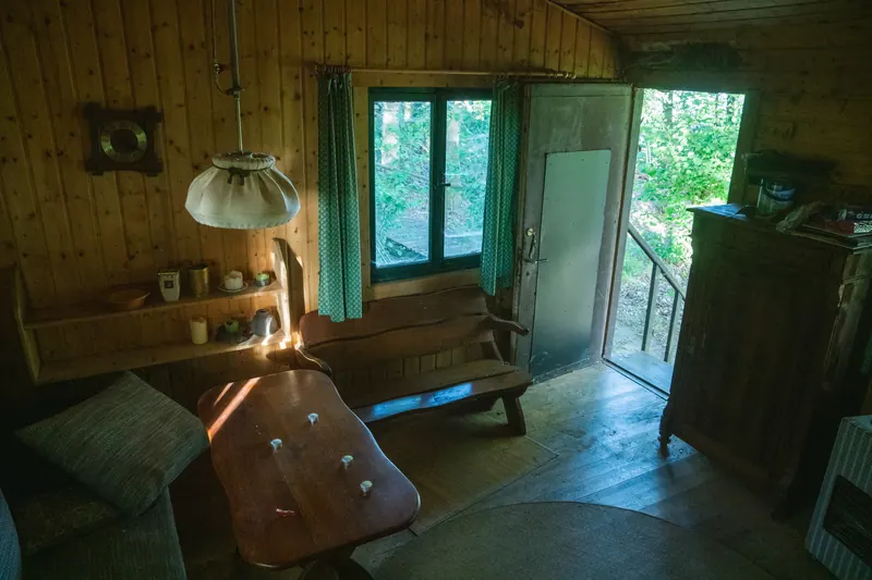 Blick aus der Jagdhütte nach draußen in den Wald