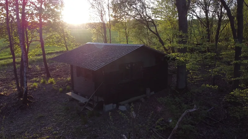 Eigenwald mit Jagdhütte, Lichtstimmung im Frühling